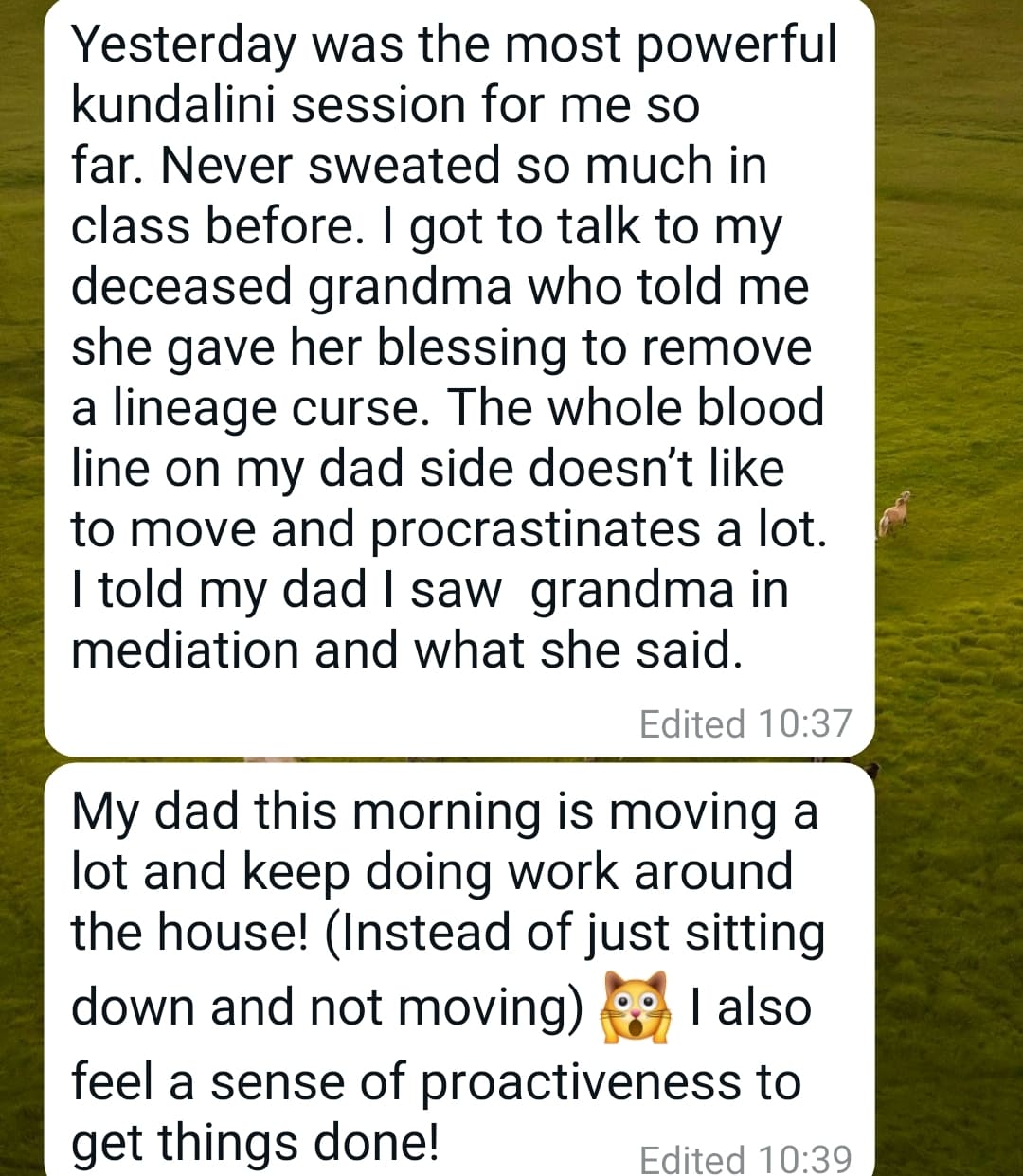 Testimonials (1)