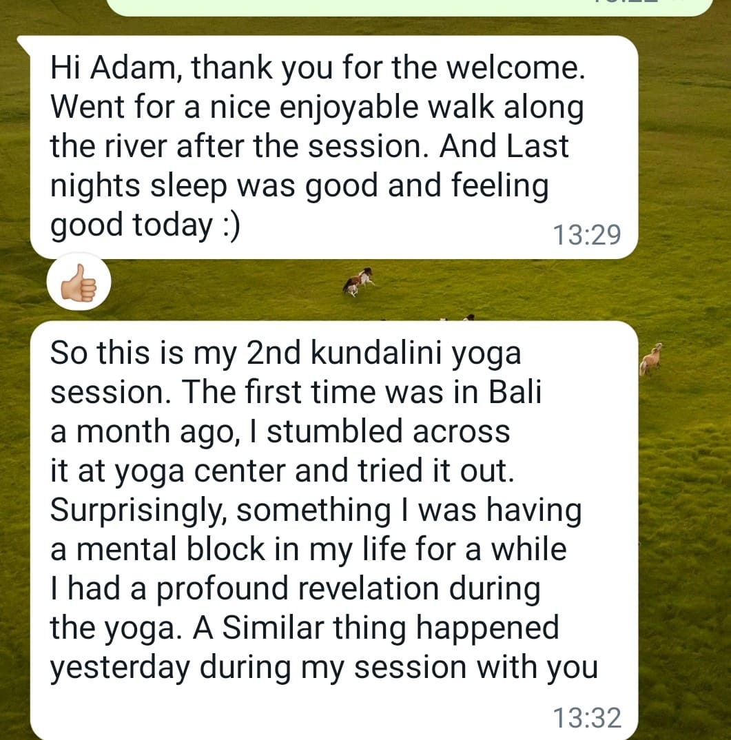 Testimonials (13)